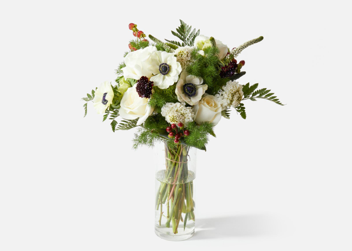 For the Botanical Aesthete